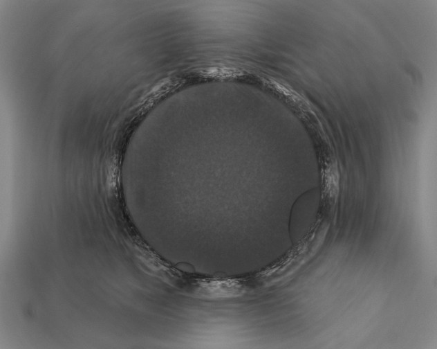X0000112200517200909181536