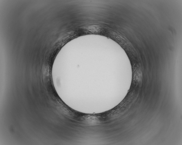 X0000112200518200909181536