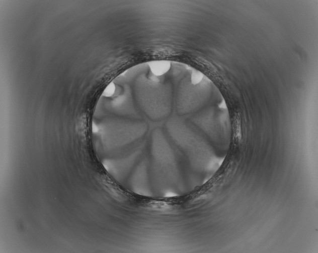 X0000112200519200909181536