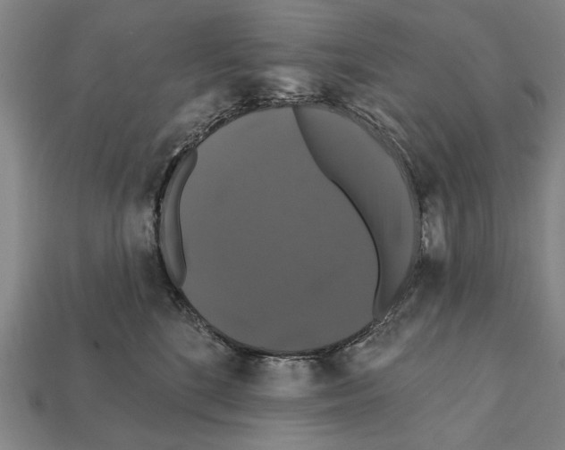 X0000112200520200909181536