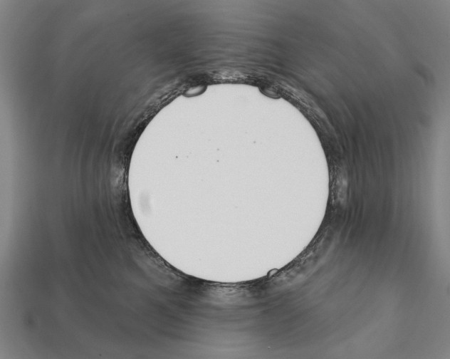X0000112200521200909181536
