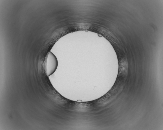 X0000112200522200909181536