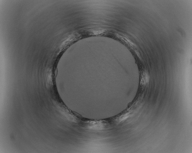 X0000112200524200909181536