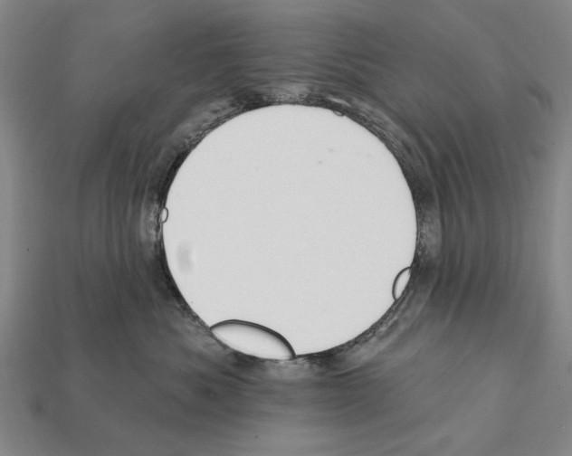 X0000112200525200909181536