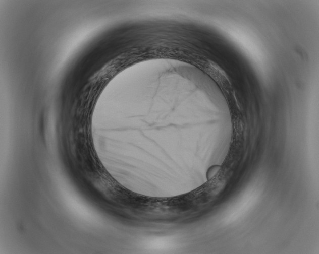 X0000112200526200909181536