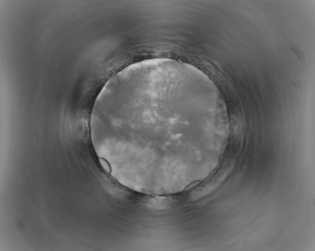 X0000112200527200909181536