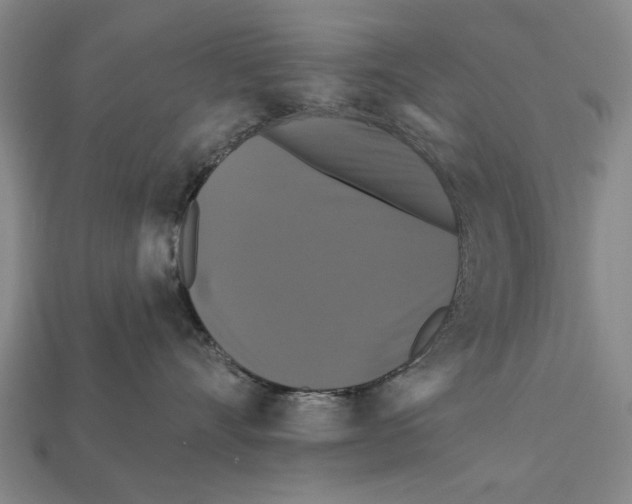 X0000112200528200909181536