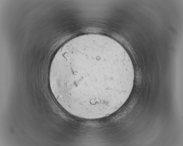 X0000112200529200909181535