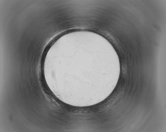 X0000112200532200909181535