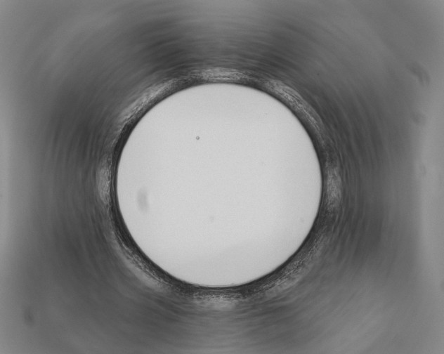 X0000112200533200909181535