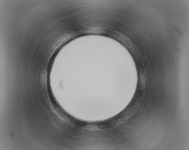 X0000112200534200909181535