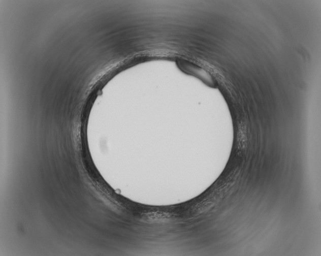 X0000112200535200909181535