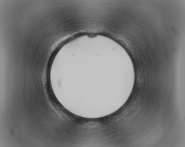 X0000112200536200909181535