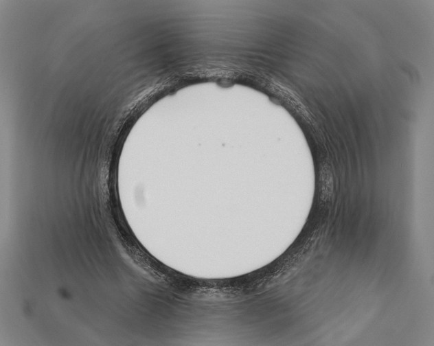 X0000112200538200909181535