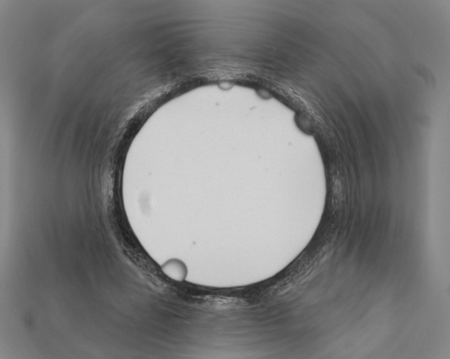 X0000112200539200909181535