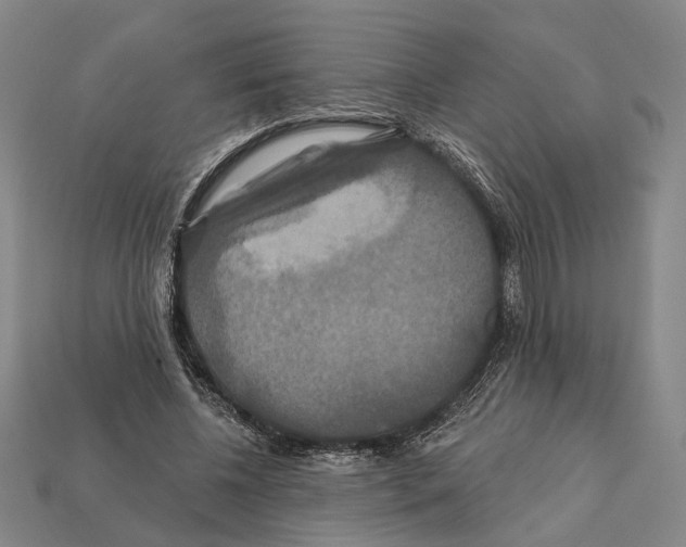 X0000112200540200909181535