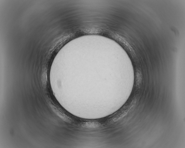 X0000112200541200909181535
