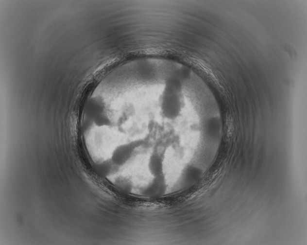 X0000112200542200909181535