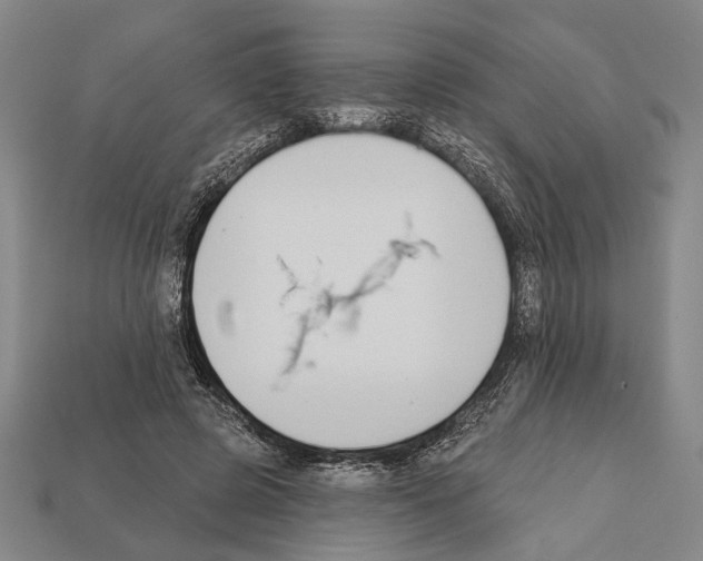 X0000112200545200909181535