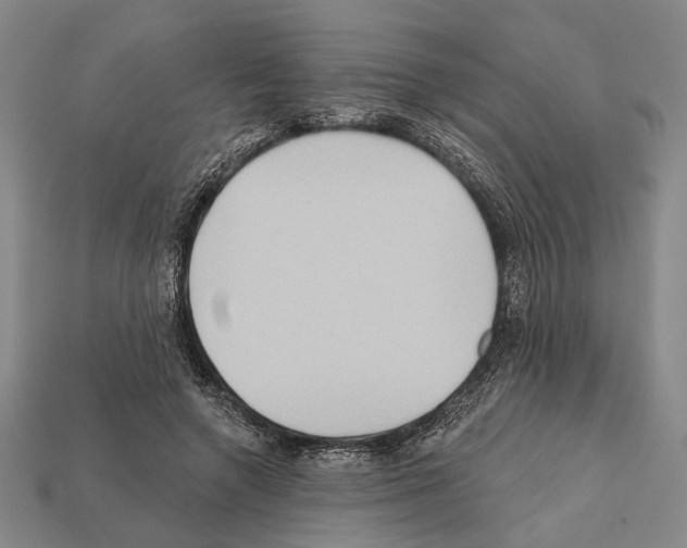 X0000112200546200909181535