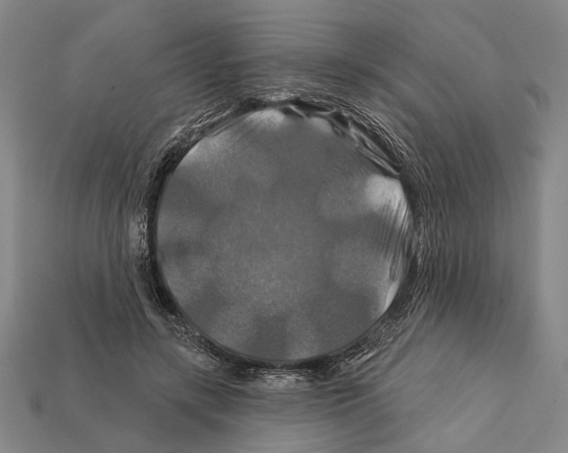 X0000112200547200909181535