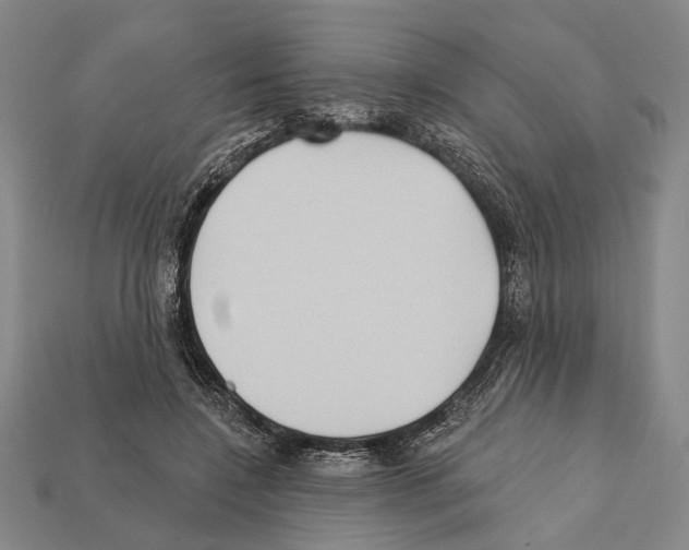 X0000112200548200909181535