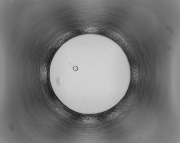 X0000112200549200909181535