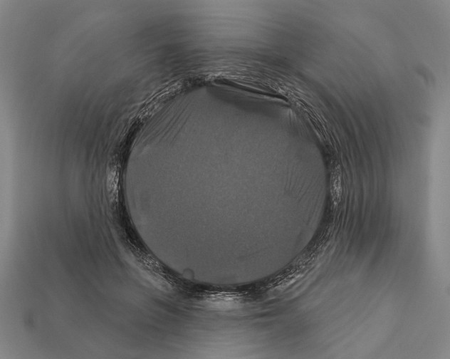 X0000112200551200909181535