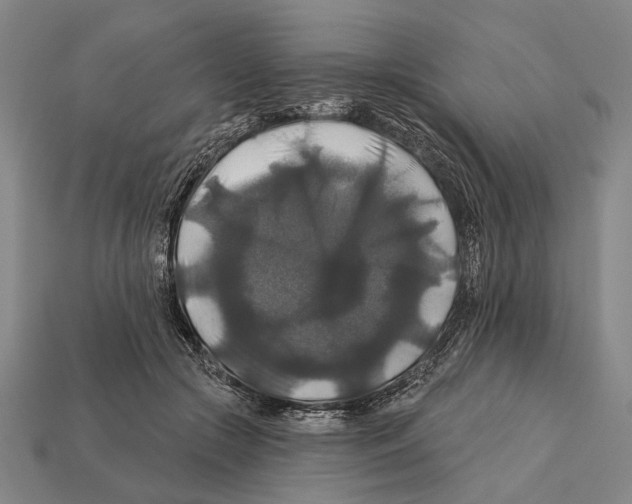 X0000112200553200909181535