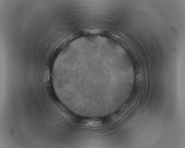 X0000112200555200909181535