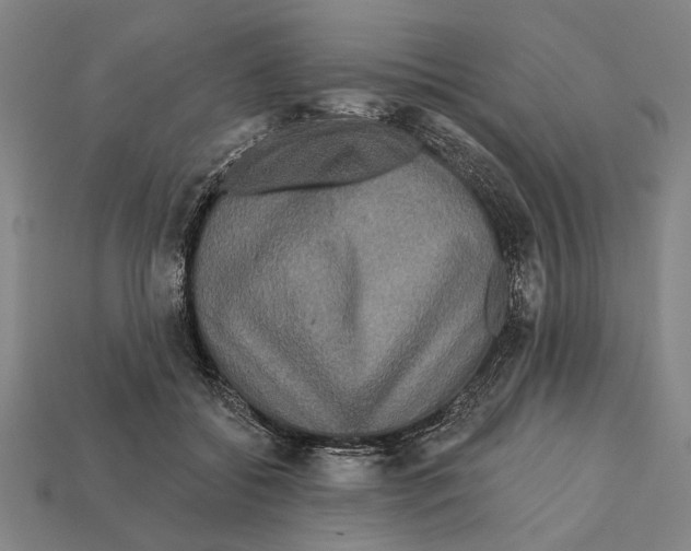 X0000112200556200909181535