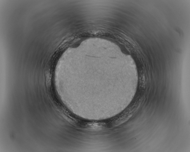 X0000112200558200909181535