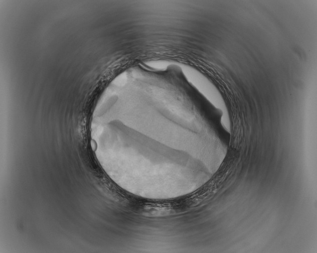 X0000112200559200909181536