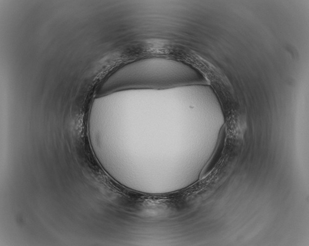 X0000112200560200909181536