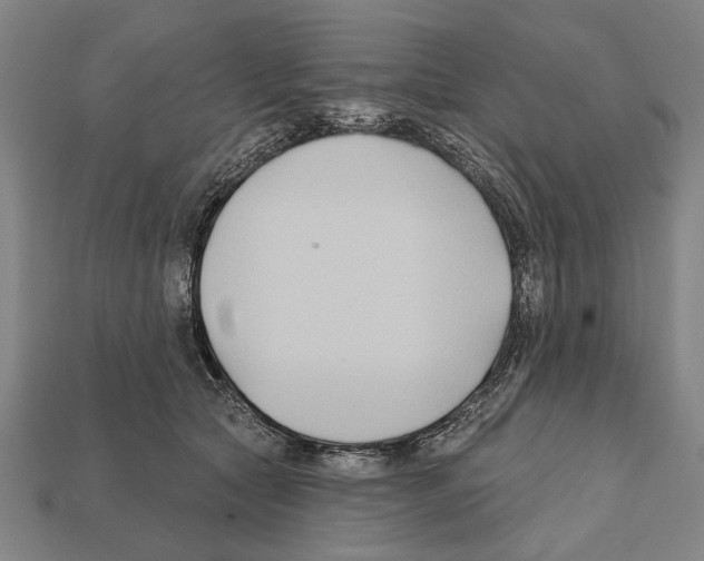 X0000112200561200909181536