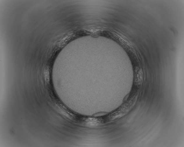X0000112200562200909181536