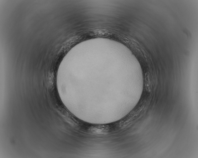 X0000112200563200909181536