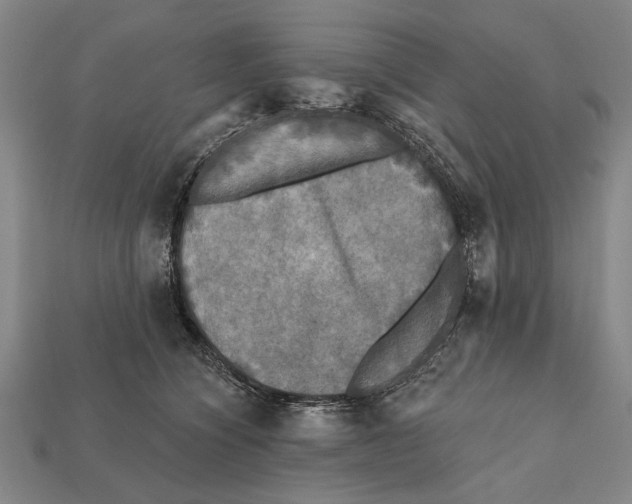 X0000112200564200909181536