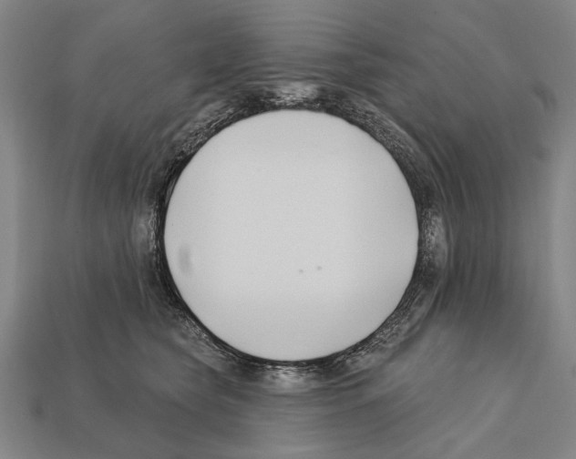 X0000112200565200909181536