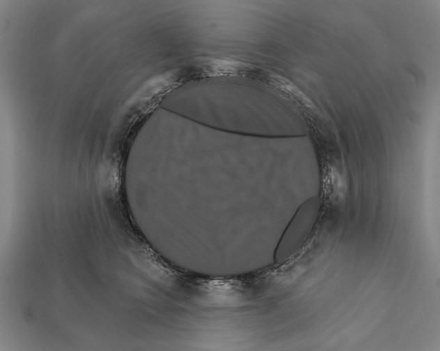 X0000112200566200909181536