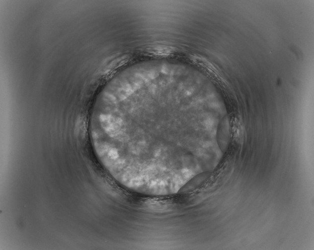 X0000112200568200909181536