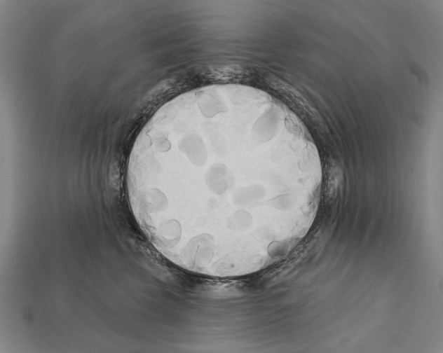 X0000112200569200909181536