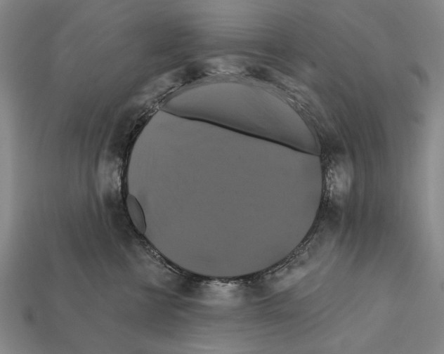 X0000112200570200909181536