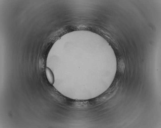 X0000112200571200909181536