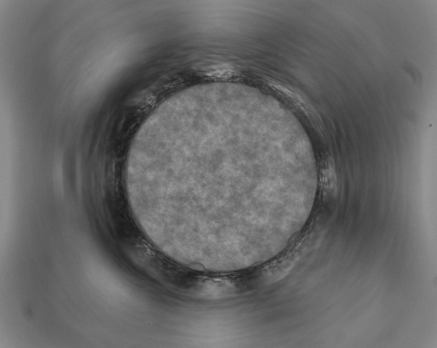 X0000112200572200909181536