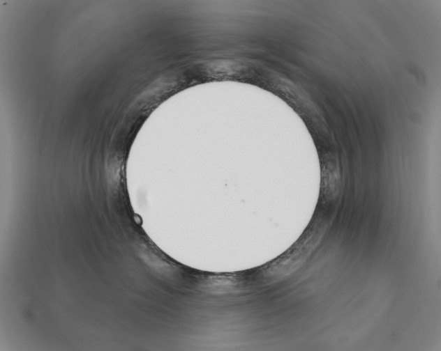 X0000112200574200909181536