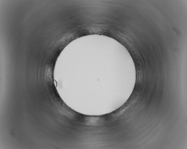 X0000112200575200909181536