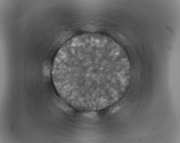 X0000112200576200909181536