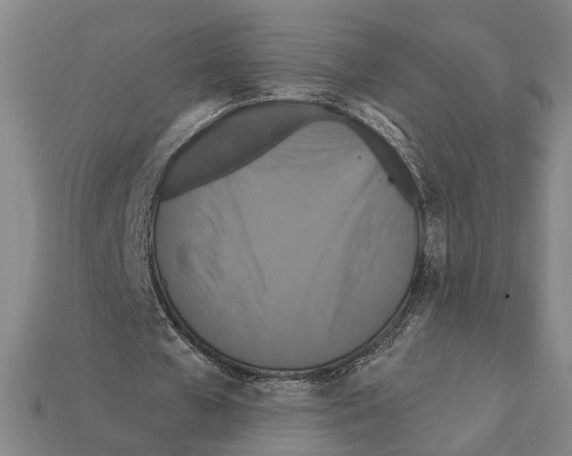 X0000112200577200909181535
