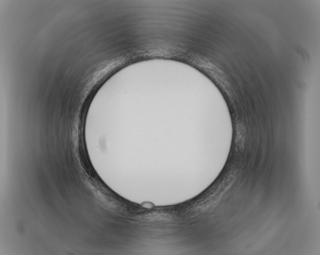 X0000112200578200909181535